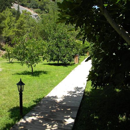 Azra Villas Çıralı Δωμάτιο φωτογραφία