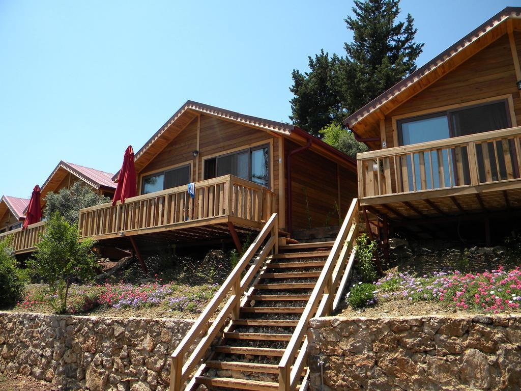Azra Villas Çıralı Δωμάτιο φωτογραφία