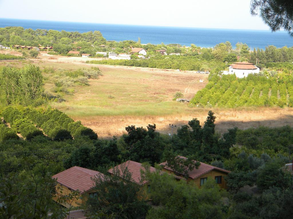 Azra Villas Çıralı Δωμάτιο φωτογραφία