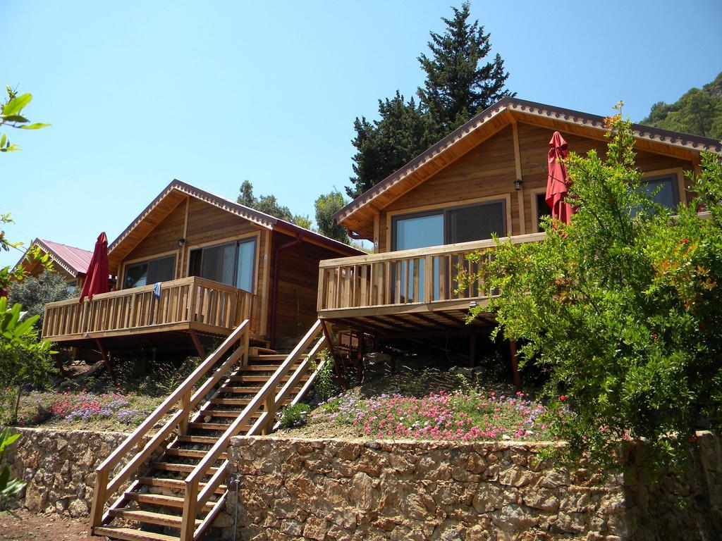 Azra Villas Çıralı Δωμάτιο φωτογραφία