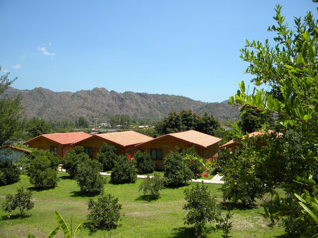 Azra Villas Çıralı Δωμάτιο φωτογραφία
