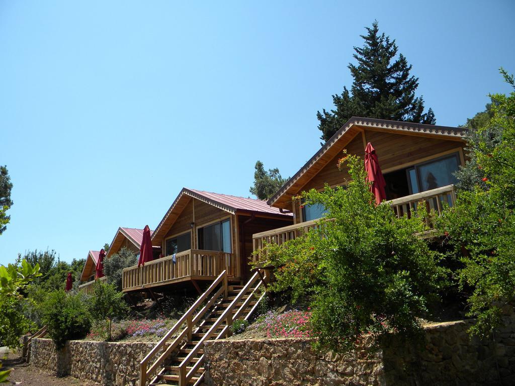 Azra Villas Çıralı Δωμάτιο φωτογραφία
