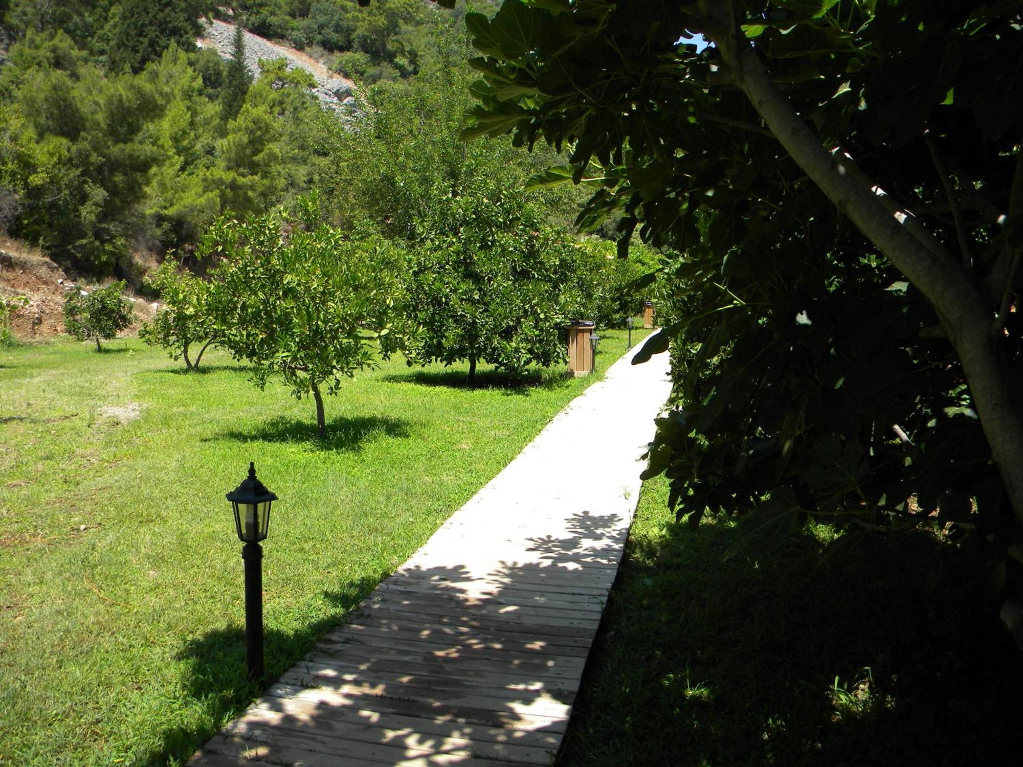 Azra Villas Çıralı Δωμάτιο φωτογραφία
