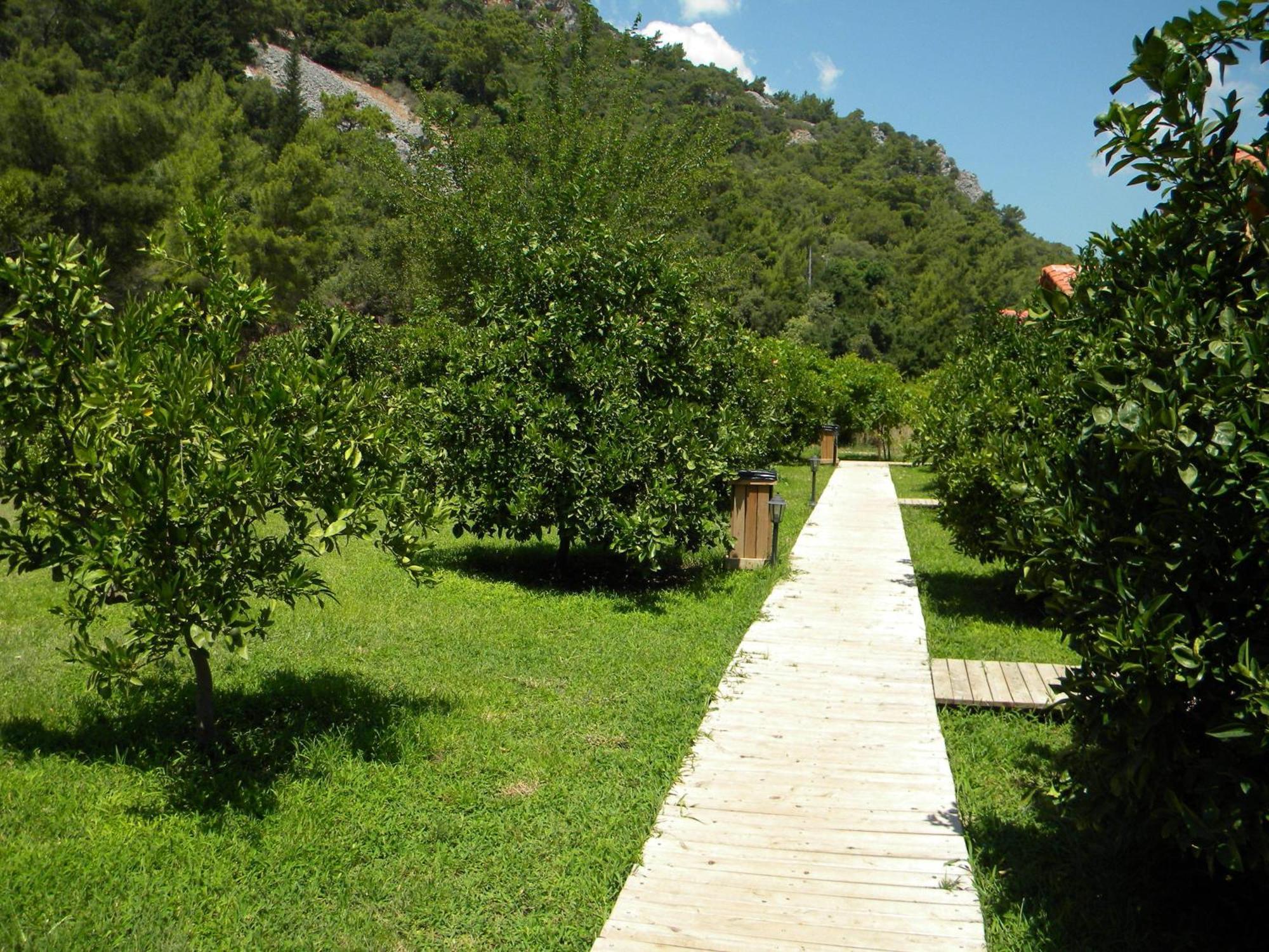 Azra Villas Çıralı Δωμάτιο φωτογραφία