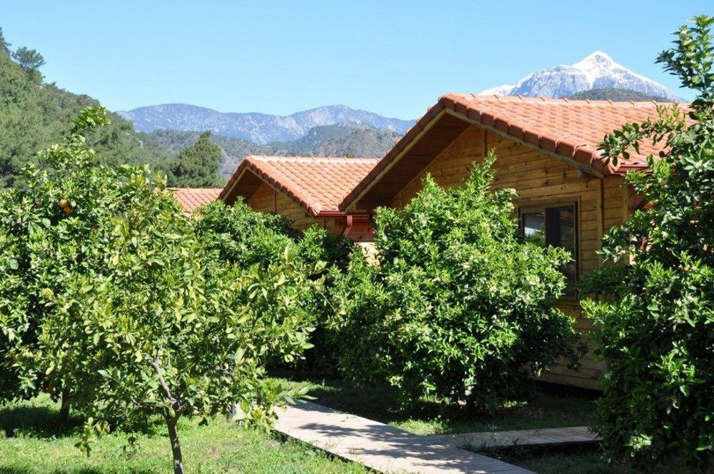 Azra Villas Çıralı Εξωτερικό φωτογραφία