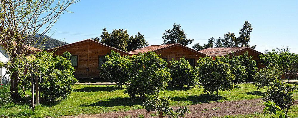 Azra Villas Çıralı Εξωτερικό φωτογραφία