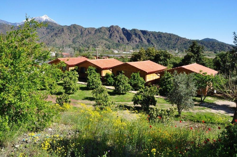 Azra Villas Çıralı Εξωτερικό φωτογραφία